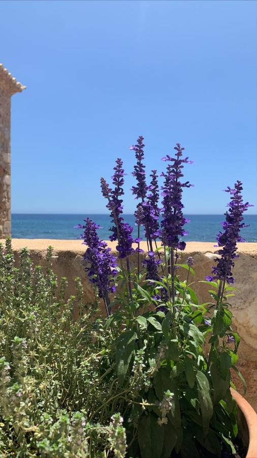 Selinitsa Residence Mani Agios Nikolaos  Exteriér fotografie